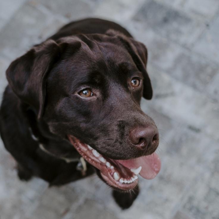 Landscape day trip near Amsterdam, Netherlands